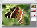 photo: Altarsoft Photo Editor