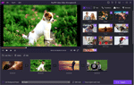 fotografia: AnyMP4 Video Editor