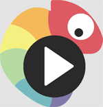 photo: Chameleon Video Player