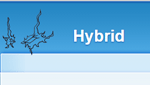 Hybrid