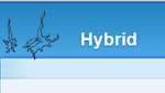 photo: Hybrid