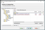 photo: Recovery Toolbox File Undelete
